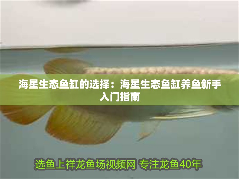 海星生態魚缸的選擇：海星生態魚缸養魚新手入門指南