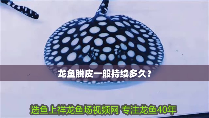 龍魚脫皮一般持續多久？