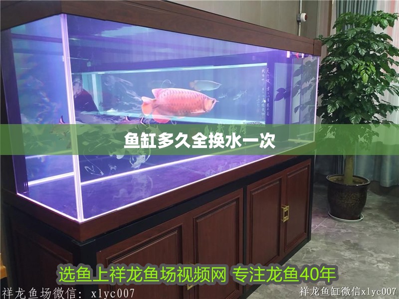 魚缸多久全換水一次