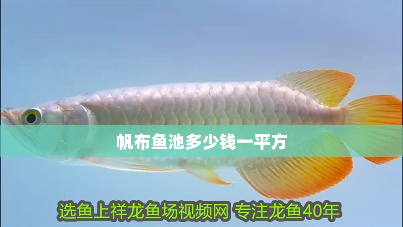 魚缸用增氧泵價格是多少:魚缸增氧機-xtrac增氧機-xtrac增氧機 帆布魚池多少錢一平方 龍魚論壇 帆布魚池多少錢一平方 帆布魚池多少錢一平方 龍魚論壇