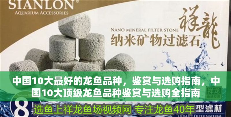 中國10大最好的龍魚品種，鑒賞與選購指南，中國10大頂級龍魚品種鑒賞與選購全指南