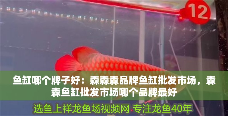 魚缸哪個牌子好：森森森品牌魚缸批發市場，森森魚缸批發市場哪個品牌最好