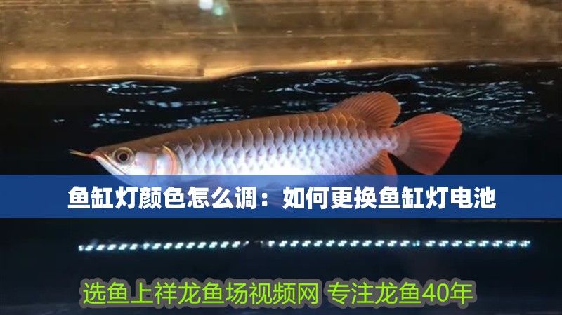 魚缸燈顏色怎么調：如何更換魚缸燈電池 魚缸燈顏色怎么調：如何更換魚缸燈電池 魚缸百科