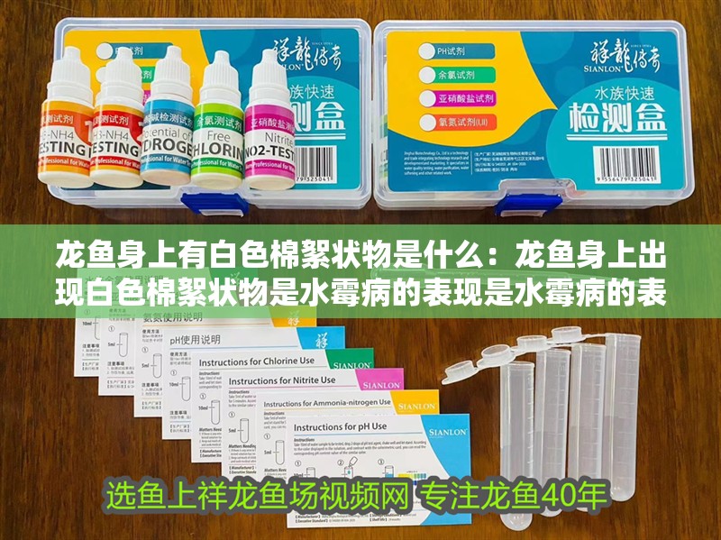 龍魚身上有白色棉絮狀物是什么：龍魚身上出現白色棉絮狀物是水霉病的表現是水霉病的表現 龍魚身上有白色棉絮狀物是什么：龍魚身上出現白色棉絮狀物是水霉病的表現是水霉病的表現 龍魚百科