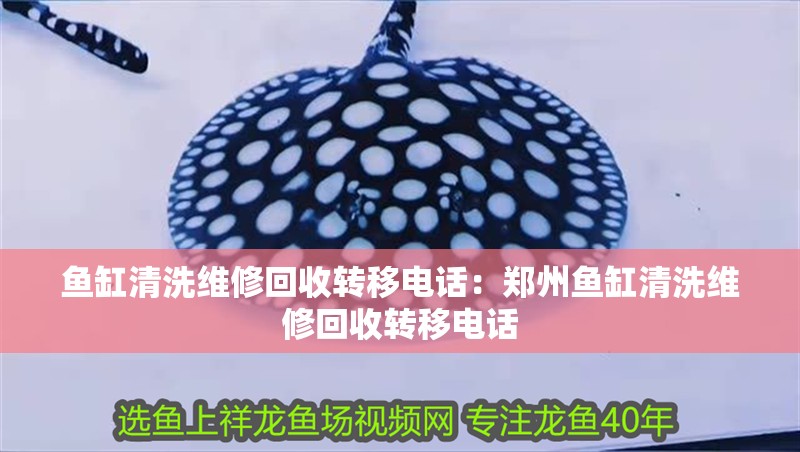 魚缸清洗維修回收轉移電話：鄭州魚缸清洗維修回收轉移電話