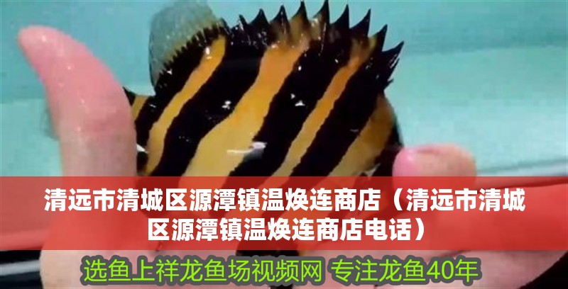 清遠市清城區源潭鎮溫煥連商店(清遠市清城區源潭鎮溫煥連商店電話)