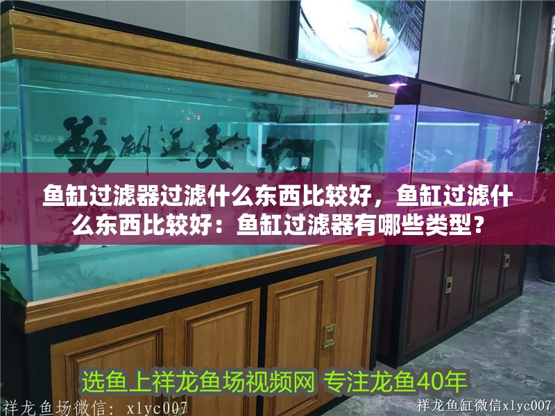 魚缸過濾器過濾什么東西比較好，魚缸過濾什么東西比較好：魚缸過濾器有哪些類型？ 魚缸過濾器過濾什么東西比較好，魚缸過濾什么東西比較好：魚缸過濾器有哪些類型？ 魚缸百科