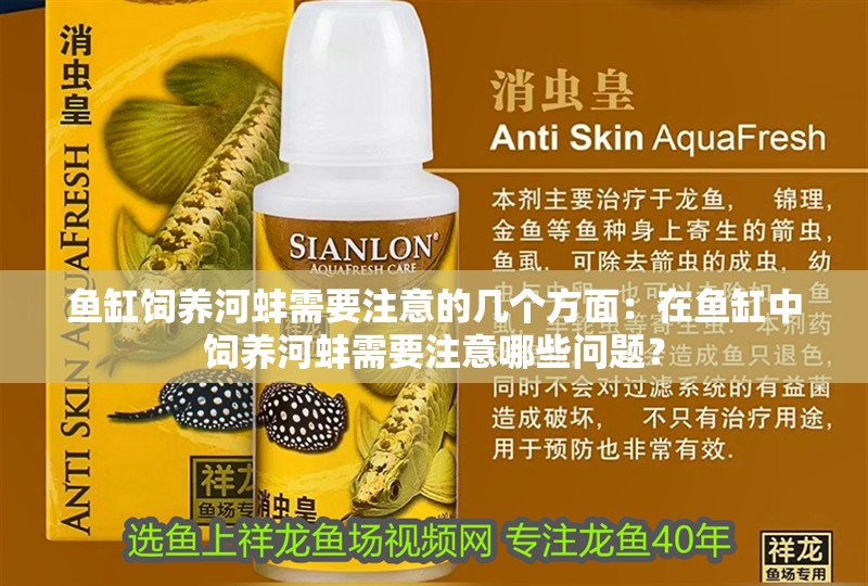 魚缸飼養河蚌需要注意的幾個方面：在魚缸中飼養河蚌需要注意哪些問題？
