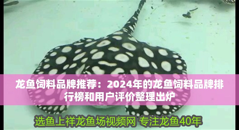 龍魚飼料品牌推薦：2024年的龍魚飼料品牌排行榜和用戶評價整理出爐