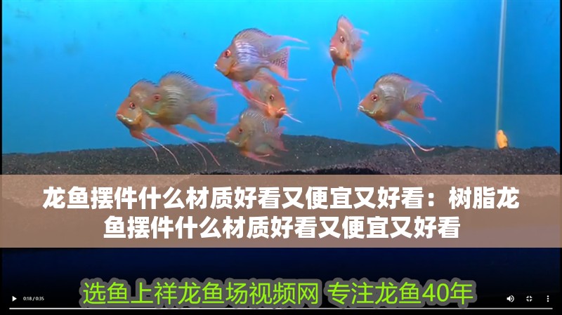 龍魚擺件什么材質好看又便宜又好看：樹脂龍魚擺件什么材質好看又便宜又好看
