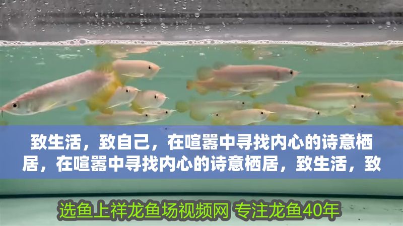 致生活，致自己，在喧囂中尋找內心的詩意棲居，在喧囂中尋找內心的詩意棲居，致生活，致自己