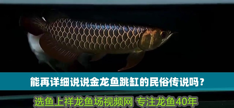 能再詳細說說金龍魚跳缸的民俗傳說嗎？ 能再詳細說說金龍魚跳缸的民俗傳說嗎？ 龍魚論壇