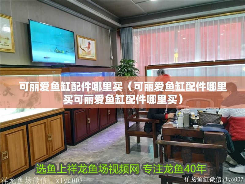 可麗愛魚缸配件哪里買（可麗愛魚缸配件哪里買可麗愛魚缸配件哪里買）