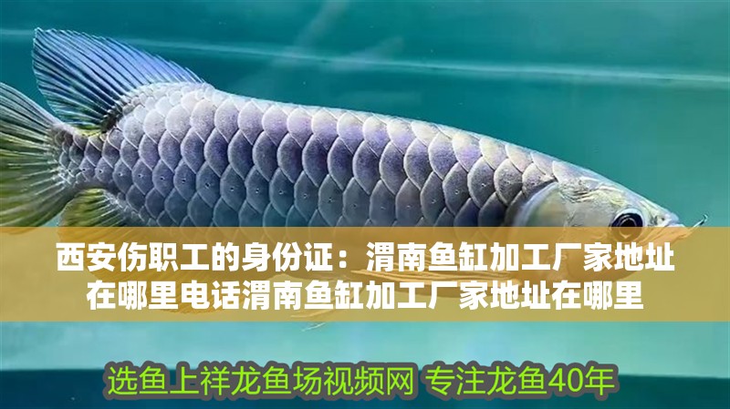<strong><mark>西安</mark></strong>傷職工的身份證：渭南魚缸加工廠家地址在哪里電話渭南魚缸加工廠家地址在哪里