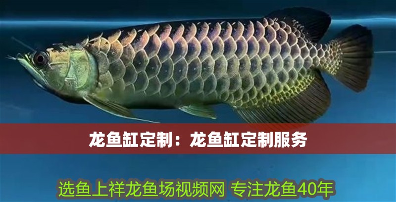 龍魚缸定制：龍魚缸定制服務(wù) 龍魚缸定制：龍魚缸定制服務(wù) 魚缸百科
