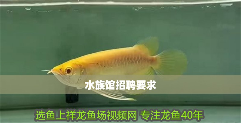 水族館招聘要求