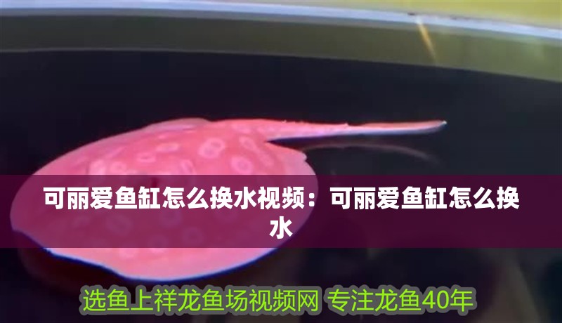 可麗愛魚缸怎么換水視頻：可麗愛魚缸怎么換水