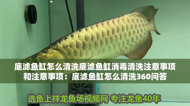 底濾魚缸怎么清洗底濾魚缸消毒清洗注意事項和注意事項：底濾魚缸怎么清洗360問答 底濾魚缸怎么清洗底濾魚缸消毒清洗注意事項和注意事項：底濾魚缸怎么清洗360問答 魚缸百科