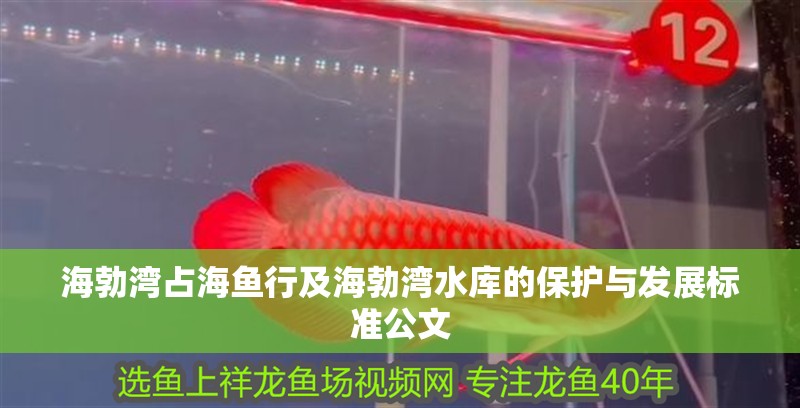 海勃灣占海魚行及海勃灣水庫(kù)的保護(hù)與發(fā)展標(biāo)準(zhǔn)公文