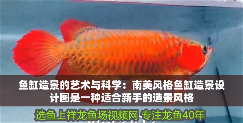 魚缸造景先放沙還是先放水(魚缸造景先鋪沙還是先放石頭) 魚缸造景的藝術(shù)與科學(xué):南美風(fēng)格魚缸造景設(shè)計(jì)圖是一種適合新手的造景風(fēng)格 魚缸百科 魚缸造景的藝術(shù)與科學(xué):南美風(fēng)格魚缸造景設(shè)計(jì)圖是一種適合新手的造景風(fēng)格 魚缸造景的藝術(shù)與科學(xué):南美風(fēng)格魚缸造景設(shè)計(jì)圖是一種適合新手的造景風(fēng)格 魚缸百科