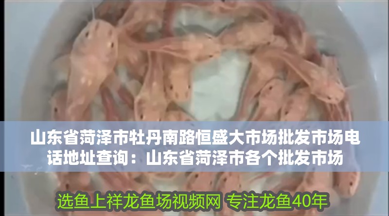 魚缸用增氧泵價格是多少:魚缸增氧機-xtrac增氧機-xtrac增氧機 山東省菏澤市牡丹南路恒盛大市場批發市場電話地址查詢:山東省菏澤市各個批發市場 魚缸百科 山東省菏澤市牡丹南路恒盛大市場批發市場電話地址查詢:山東省菏澤市各個批發市場 山東省菏澤市牡丹南路恒盛大市場批發市場電話地址查詢:山東省菏澤市各個批發市場 魚缸百科