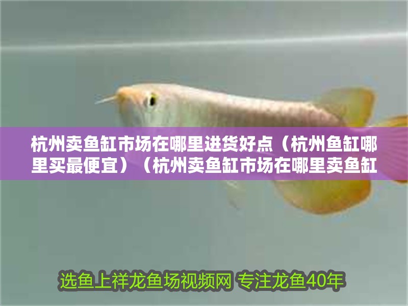 杭州賣魚缸市場在哪里進貨好點（杭州魚缸哪里買最便宜）（杭州賣魚缸市場在哪里賣魚缸市場在哪里進貨好點在哪）