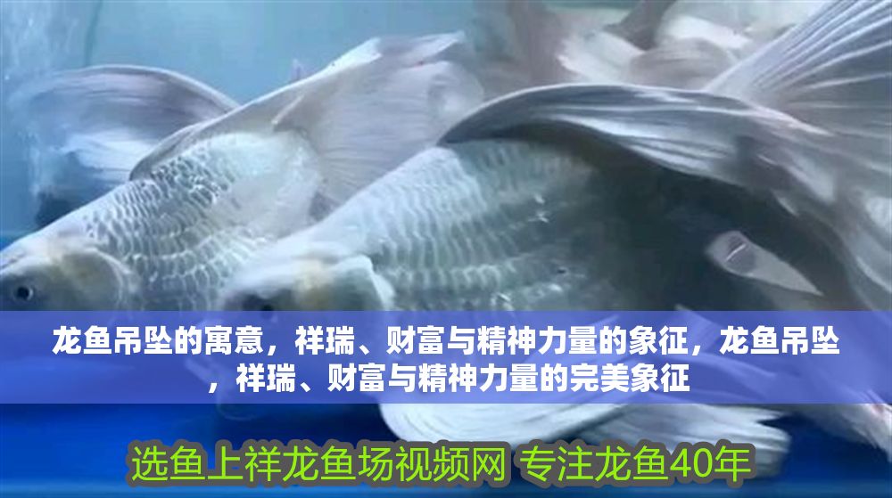 龍魚吊墜的寓意，祥瑞、財富與精神力量的象征，龍魚吊墜，祥瑞、財富與精神力量的完美象征