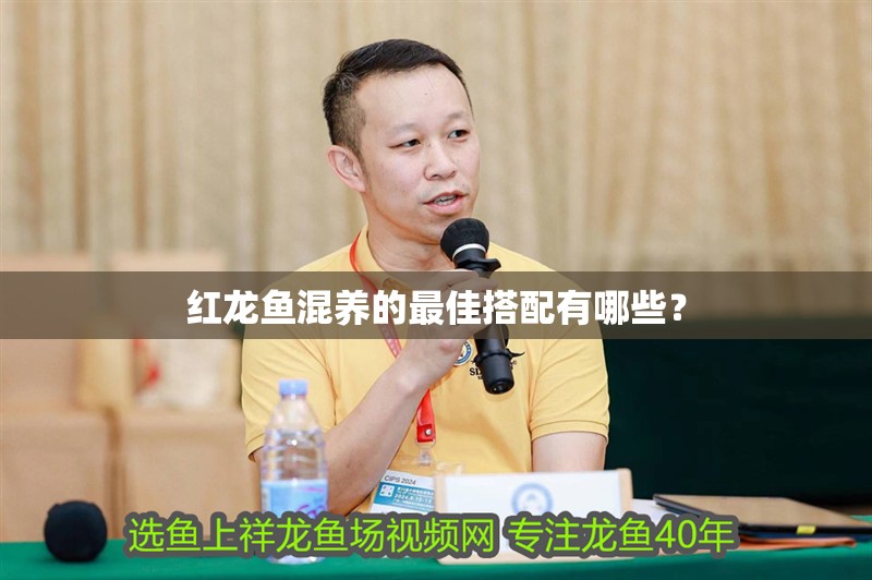 紅龍魚混養的最佳搭配有哪些？ 紅龍魚混養的最佳搭配有哪些？ 龍魚論壇