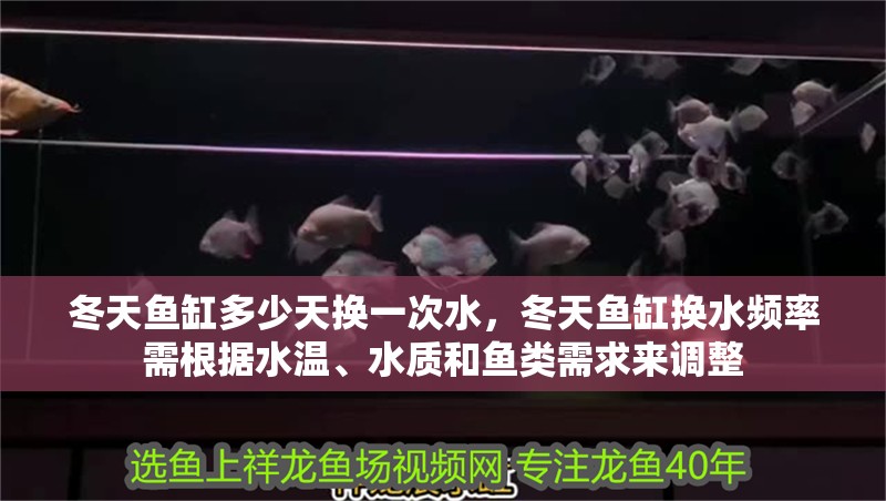 冬天魚缸多少天換一次水，冬天魚缸換水頻率需根據水溫、水質和魚類需求來調整