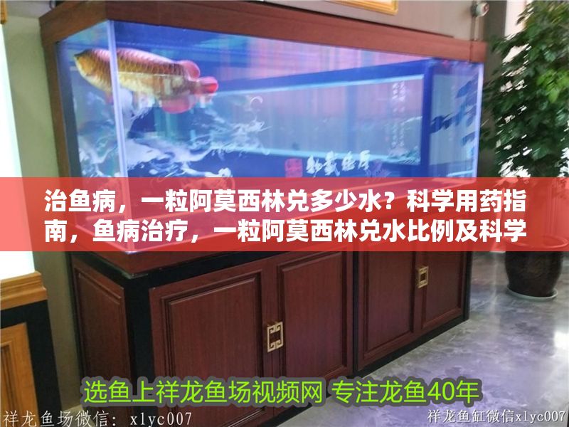 治魚病，一粒阿莫西林兌多少水？科學用藥指南，魚病治療，一粒阿莫西林兌水比例及科學用藥指南