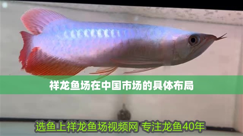 祥龍魚場在中國市場的具體布局