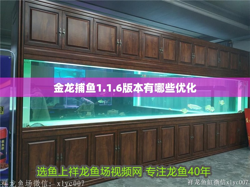 金龍捕魚1.1.6版本有哪些優化 金龍捕魚1.1.6版本有哪些優化 龍魚百科