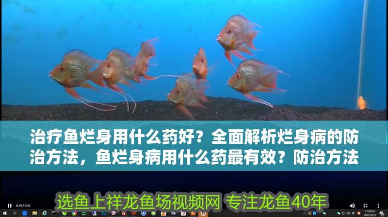 治療魚爛身用什么藥好？全面解析爛身病的防治方法，魚爛身病用什么藥最有效？防治方法與用藥全指南