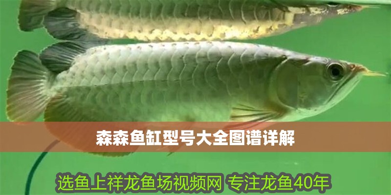 森森魚缸型號大全圖譜詳解 森森魚缸型號大全圖譜詳解 龍魚論壇