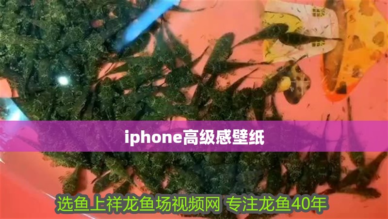 iphone高級感壁紙