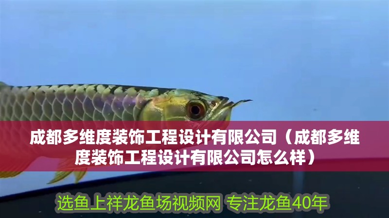 <strong><mark>成都</mark></strong>多維度裝飾工程設計有限公司（<strong><mark>成都</mark></strong>多維度裝飾工程設計有限公司怎么樣）