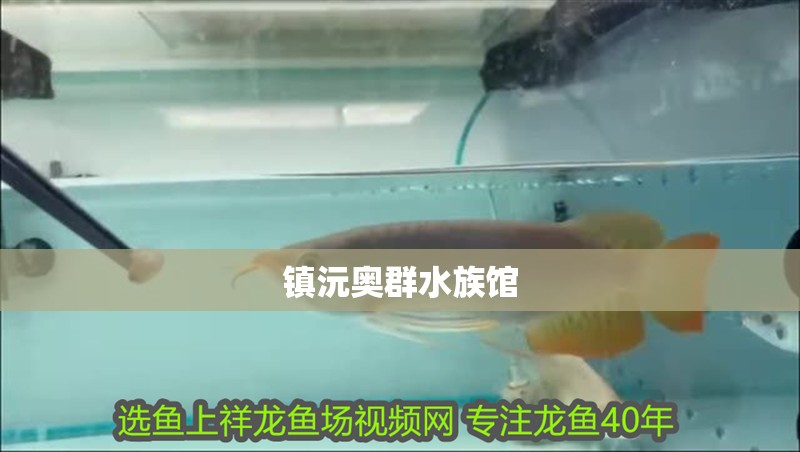 鎮(zhèn)沅奧群水族館