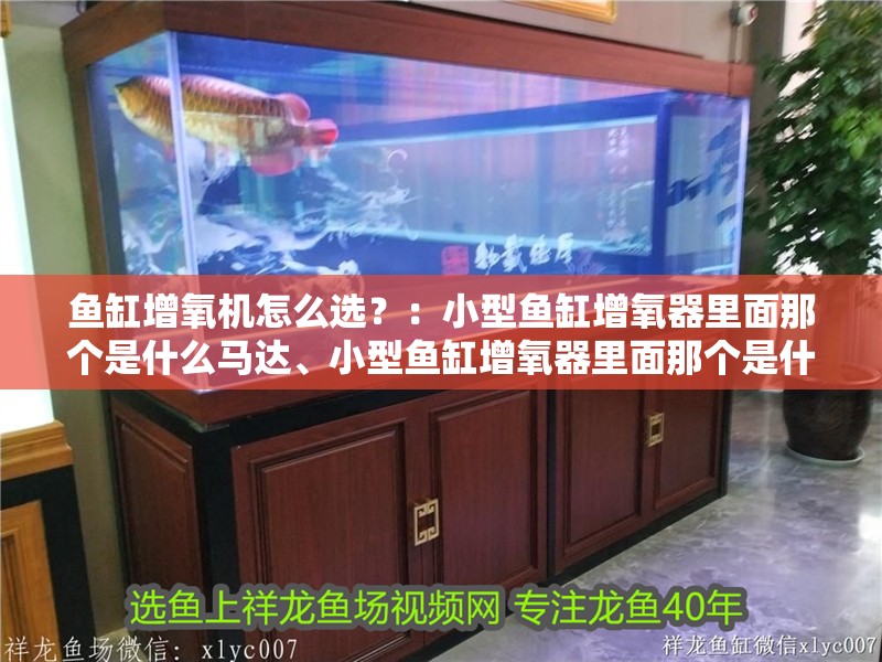 魚缸增氧機怎么選？：小型魚缸增氧器里面那個是什么馬達、小型魚缸增氧器里面那個是什么馬達