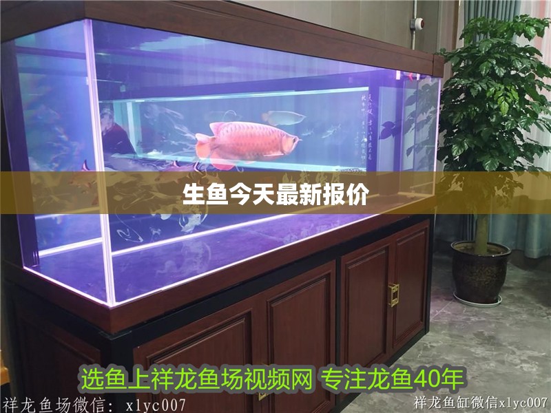 生魚今天最新報價