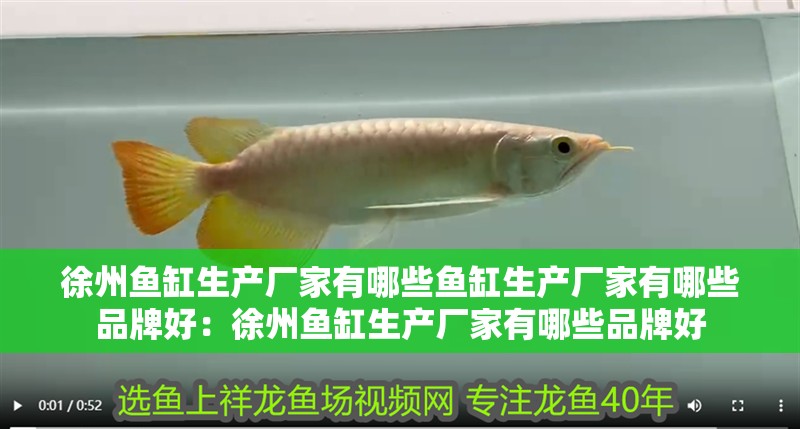 魚缸用增氧泵價格是多少:魚缸增氧機-xtrac增氧機-xtrac增氧機 徐州魚缸生產廠家有哪些魚缸生產廠家有哪些品牌好:徐州魚缸生產廠家有哪些品牌好 魚缸百科 徐州魚缸生產廠家有哪些魚缸生產廠家有哪些品牌好:徐州魚缸生產廠家有哪些品牌好 徐州魚缸生產廠家有哪些魚缸生產廠家有哪些品牌好:徐州魚缸生產廠家有哪些品牌好 魚缸百科