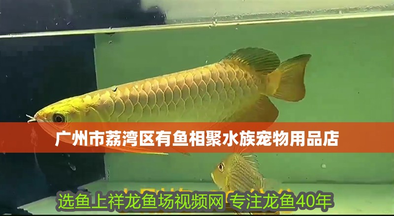 廣州市荔灣區有魚相聚水族寵物用品店
