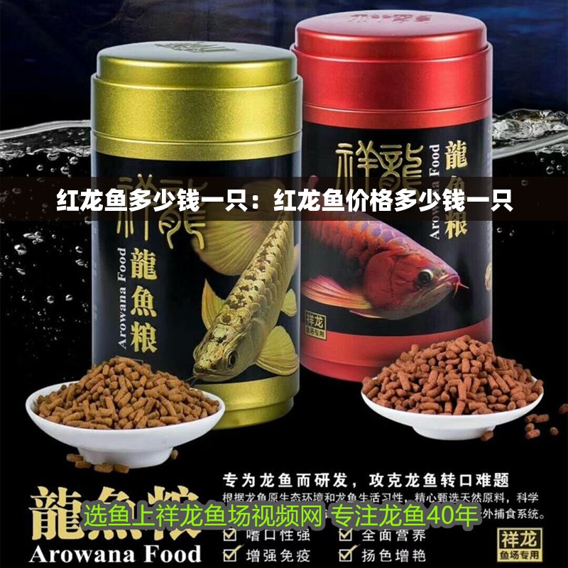 紅龍魚多少錢一只：紅龍魚價格多少錢一只 紅龍魚多少錢一只：紅龍魚價格多少錢一只 龍魚百科