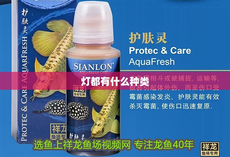 燈都有什么種類 燈都有什么種類 龍魚論壇