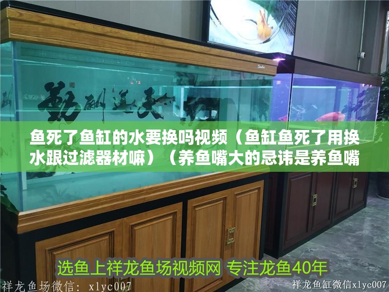 魚死了魚缸的水要換嗎視頻（魚缸魚死了用換水跟過(guò)濾器材嘛）（養(yǎng)魚嘴大的忌諱是養(yǎng)魚嘴大的忌諱，養(yǎng)魚嘴大的忌諱是什么）