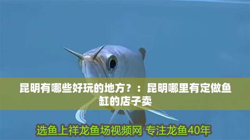 昆明有哪些好玩的地方？：昆明哪里有定做魚缸的店子賣 昆明有哪些好玩的地方？：昆明哪里有定做魚缸的店子賣 魚缸百科
