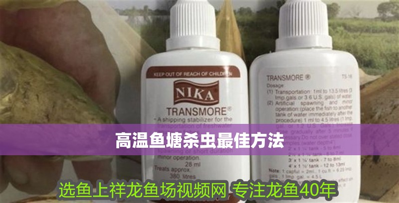 高溫魚塘殺蟲最佳方法