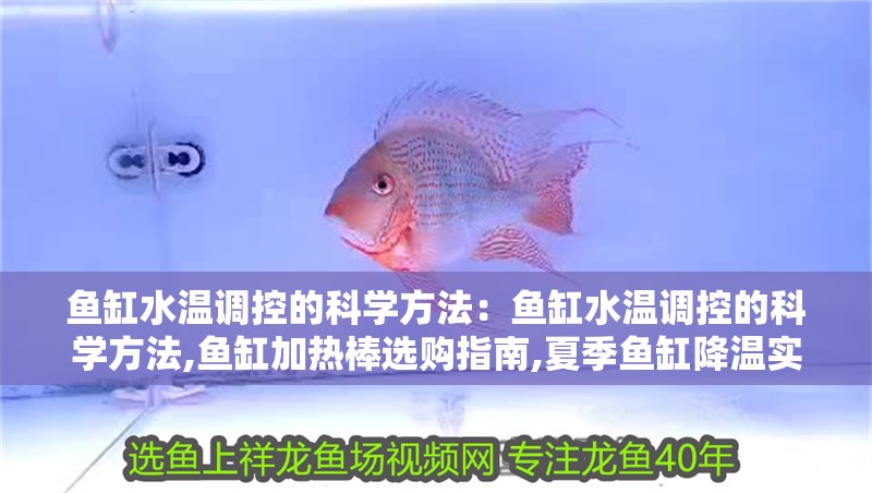 魚缸水溫調控的科學方法：魚缸水溫調控的科學方法,魚缸加熱棒選購指南,夏季魚缸降溫實用技巧