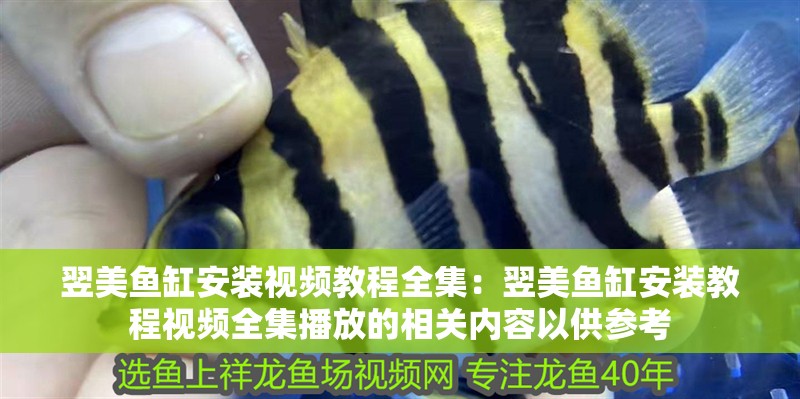翌美魚缸安裝視頻教程全集:翌美魚缸安裝教程視頻全集播放的相關內容以供參考