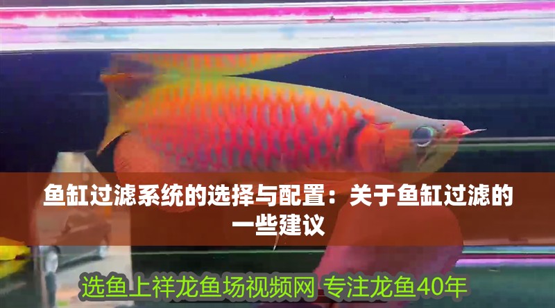 魚缸過濾系統的選擇與配置:關于魚缸過濾的一些建議