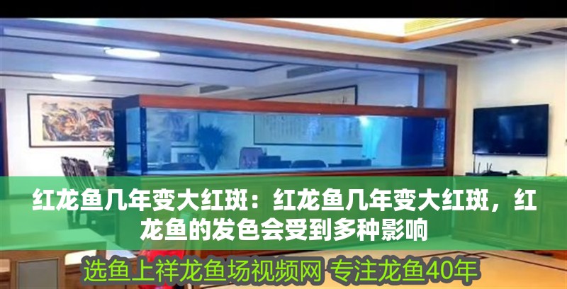 紅龍魚幾年變大紅斑：紅龍魚幾年變大紅斑，紅龍魚的發色會受到多種影響